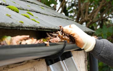 gutter cleaning Stormontfield, Perth And Kinross